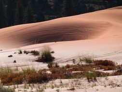 pink sand dunes in Utah Southwest Usa