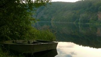 Boat on the lake near the green tree