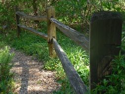 wooden old fence in a forest