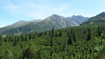green mountains landscape in tatry