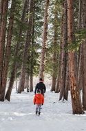 father and daughter walking in winter forest