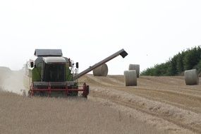 harvesting on the field
