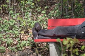 man lies on a park bench