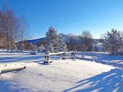 winter forest and mountain landscape