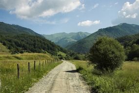 soil road to green mountains, romania