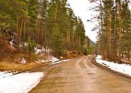 Snow on the road and in the forest