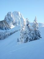 winter landscape on an array in switzerland