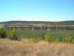 landscape of scenic countryside in Russia
