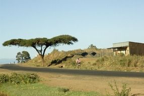 kenya landscape