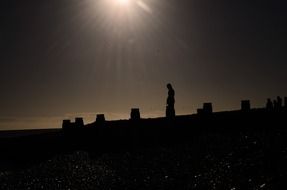 silhouette of a man on a sunny beach