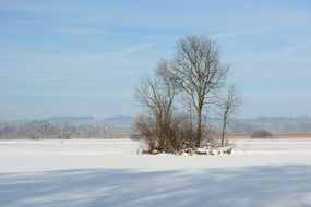 Winter landscape in the Chiemgau