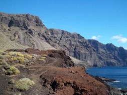 nature on Tenerife Atlantic ocean