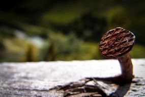 rusty nail hammered into a tree