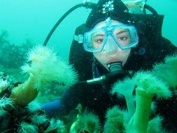 Scuba diving in a ocean
