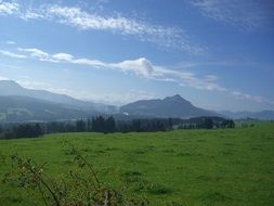 Beautiful mountain meadow