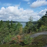 forest lake in the background of the cloudy sky in Sweden