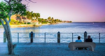 people on bench near tropical sea