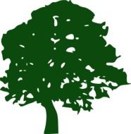 green silhouette of oak as a graphic representation
