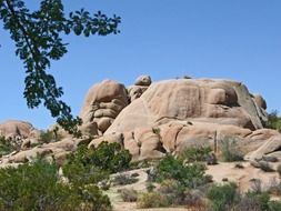 a rock in the desert of the national park, California