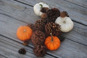 pumpkin and pine cone