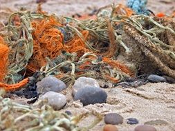 flotsam and jetsam on the beach