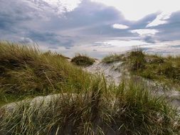 tranquil natural landscape in Denmark