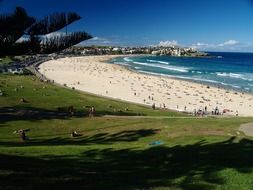 green grass along a large beach in australia