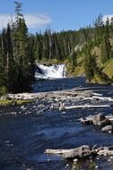 Beautiful landscape of Yellowstone