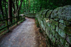 pathway in a park