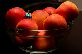 ripe red apples in a transparent vase