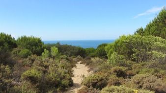 beach coast line in portugal