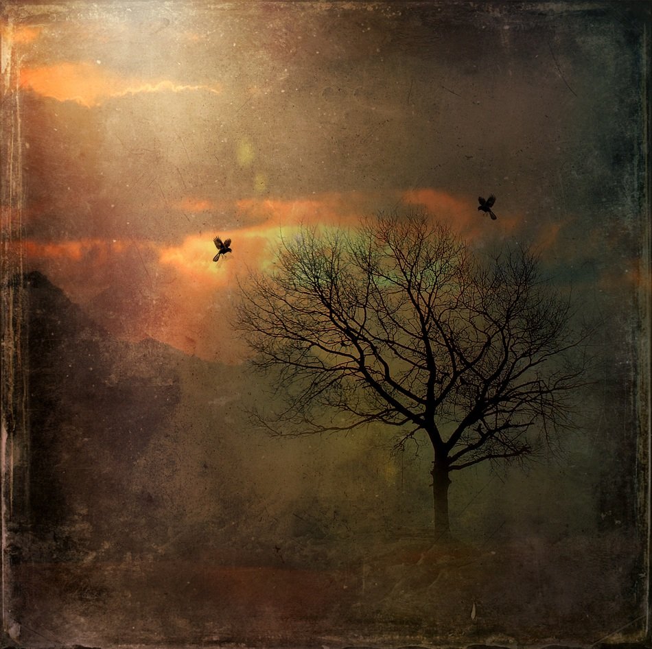fascinating mystical sunrise