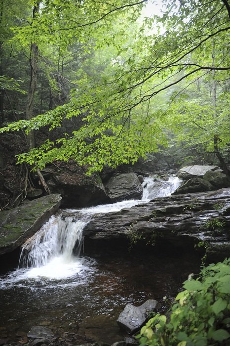 beautiful and delightful cascade water