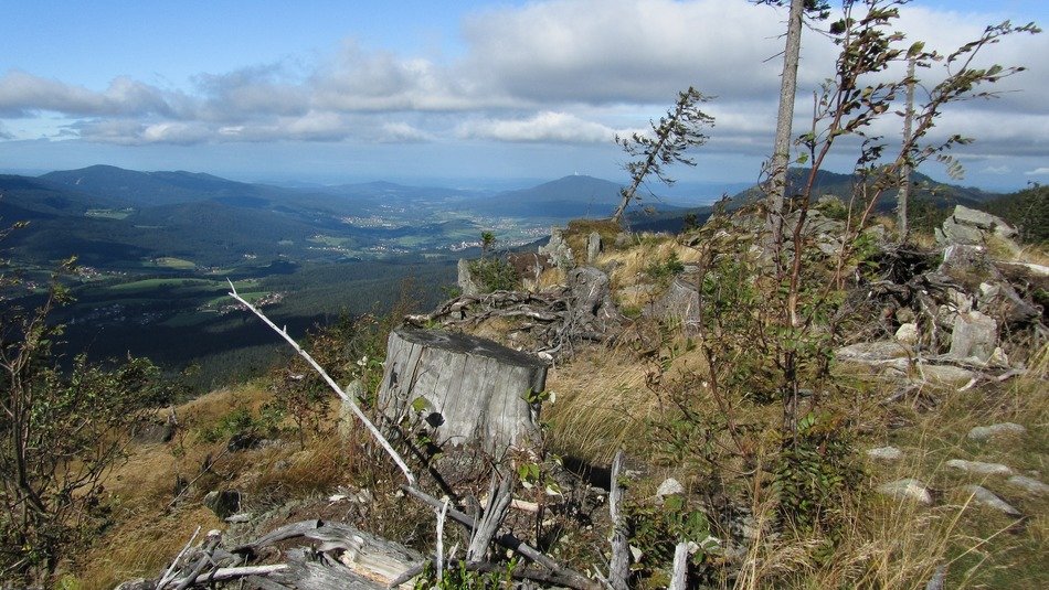 Landscape of zwercheck