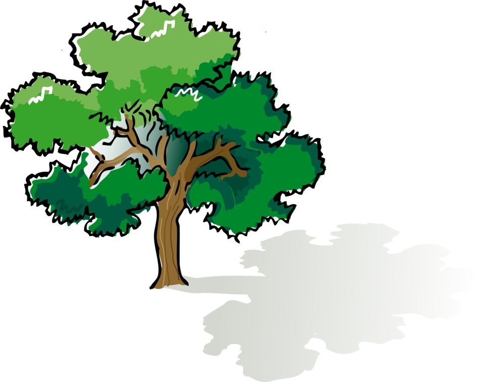 Green tree drawing with shadows
