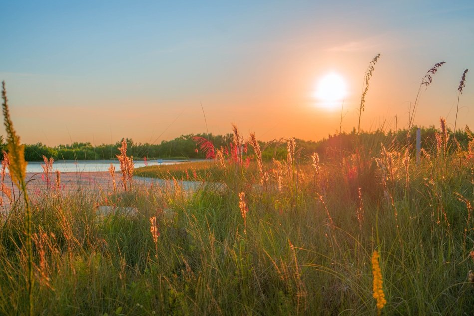 sunrise over lake tree landscape