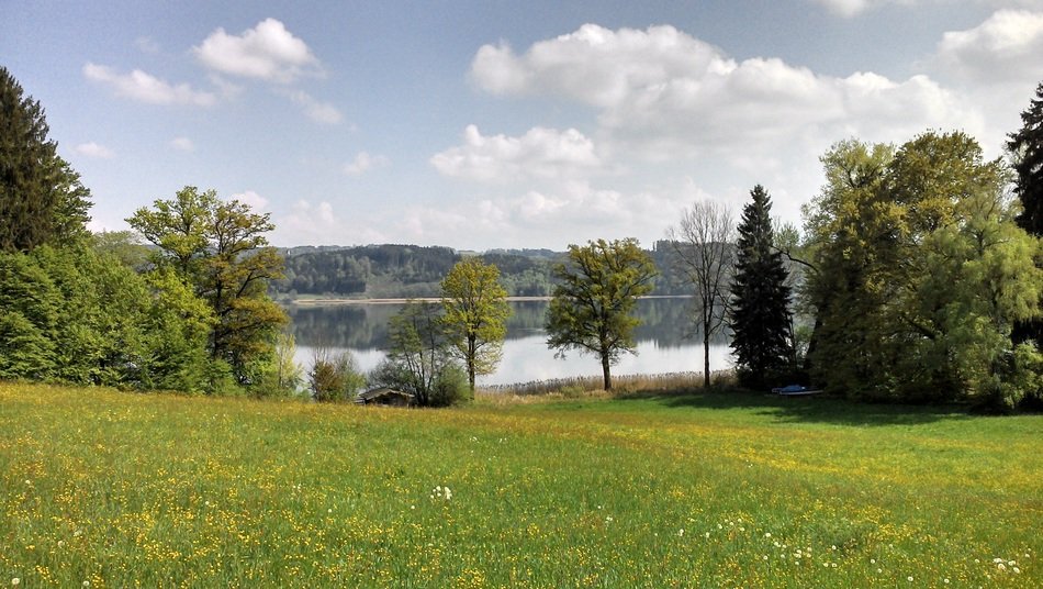 beautiful lake in the countryside