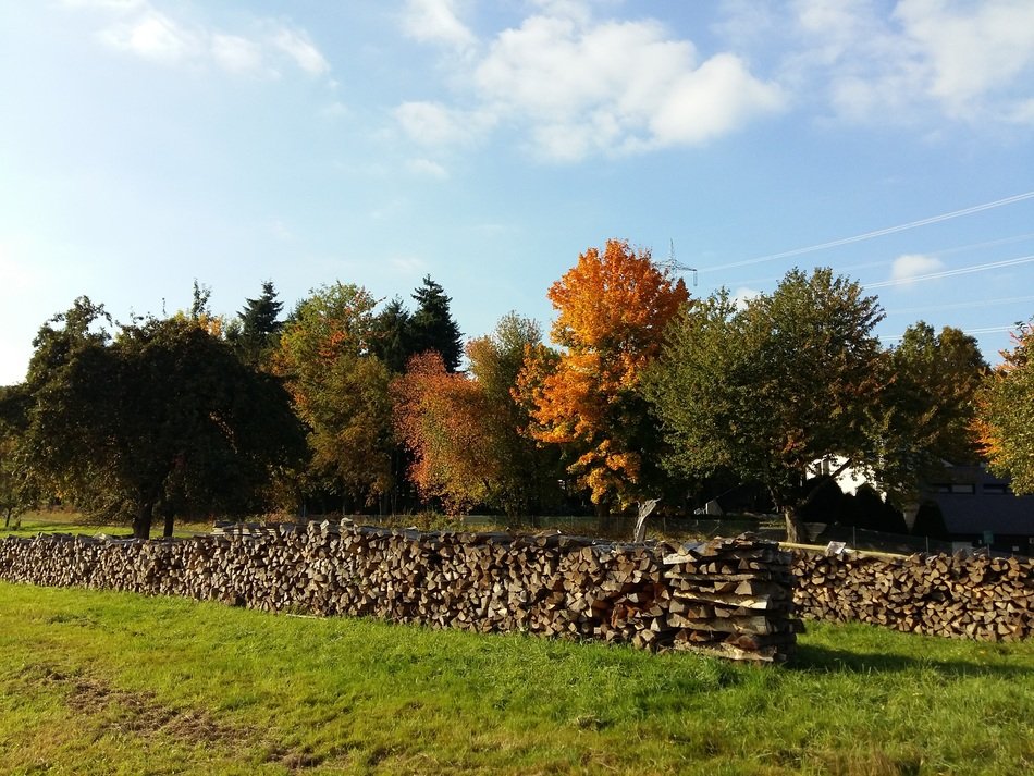 a lot of firewood at picturesque autumn landscape