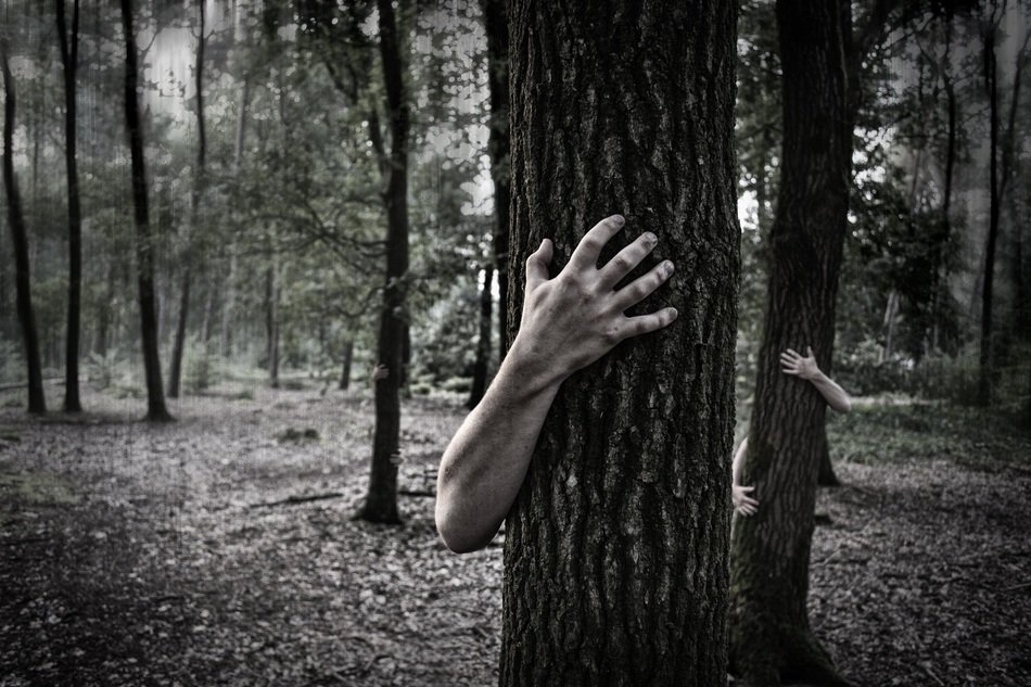 Black and white photo of the hands on the trees