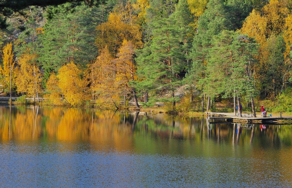 Landscape with the river in Sweden