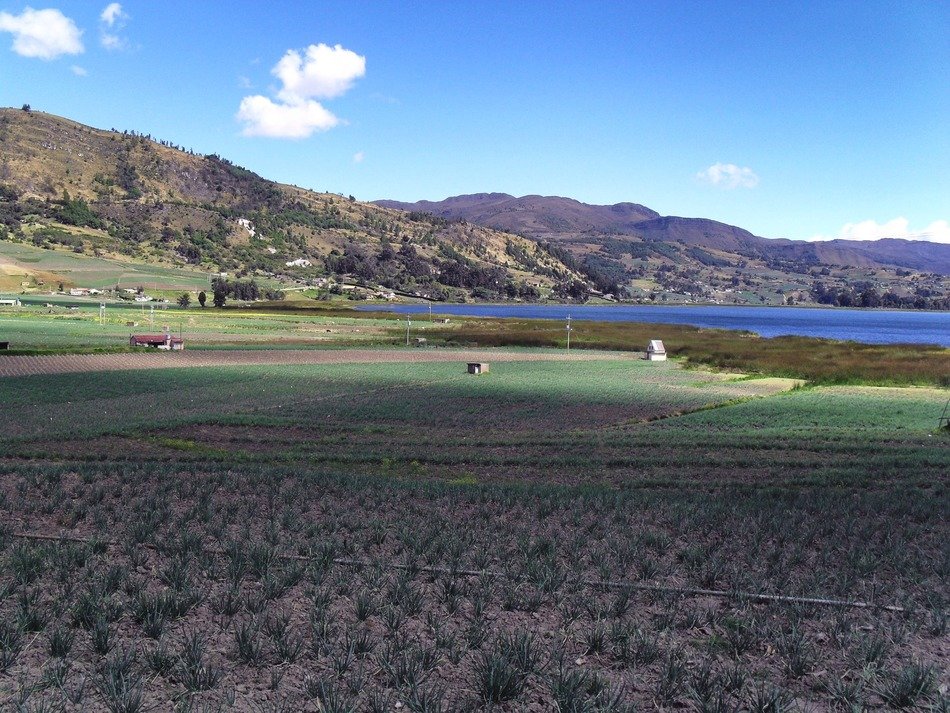 farm field on a background of mountains in Colombia