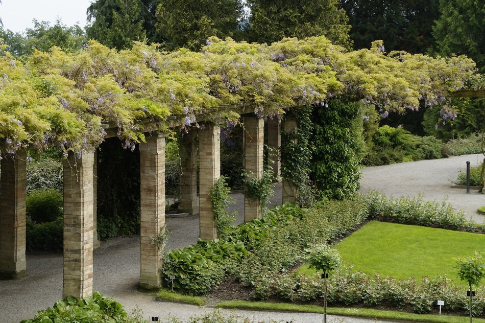 arbour in a garden