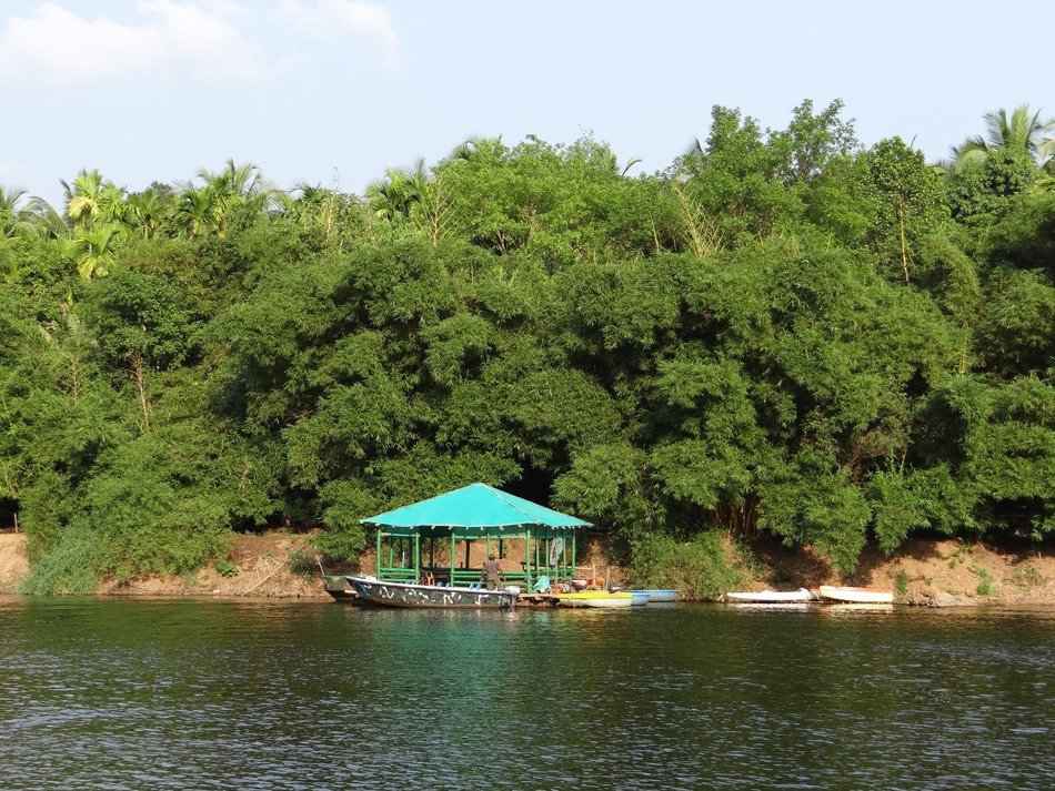 pier near the bamboo forest