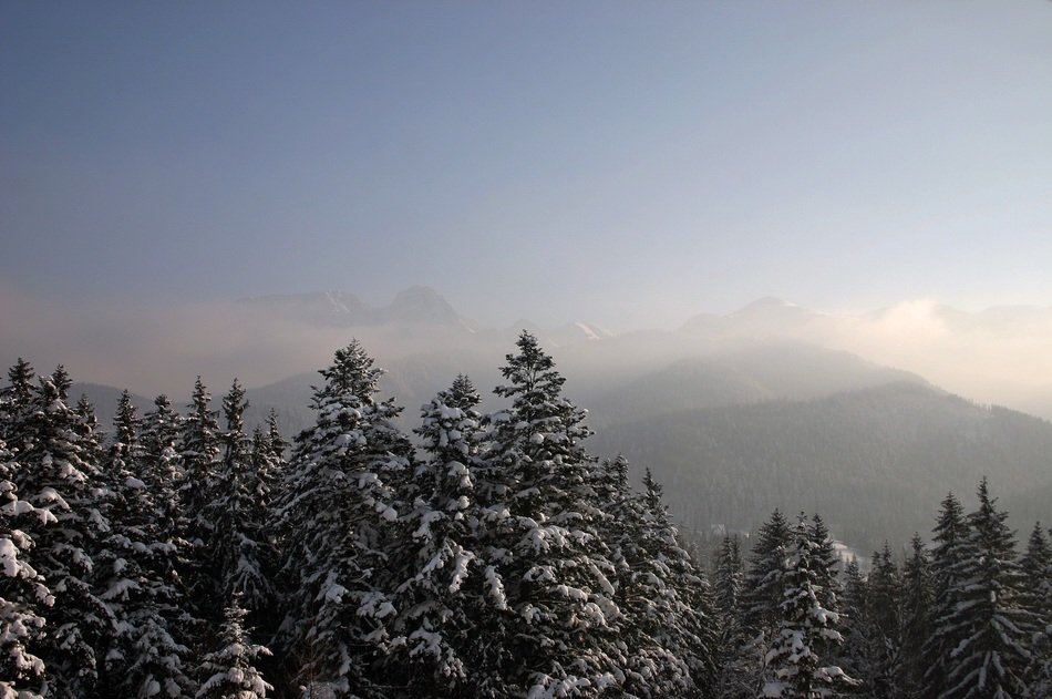 high tatras in the snow