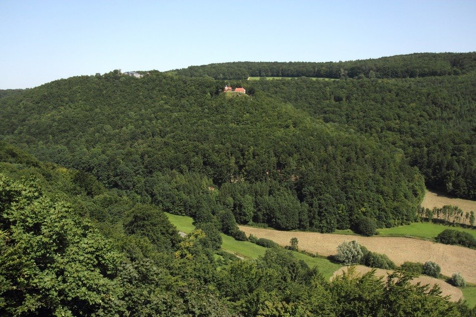Green Forest in Germany