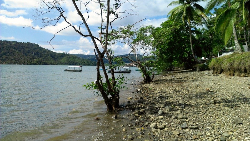 Landscape of beautiful puerto golfito
