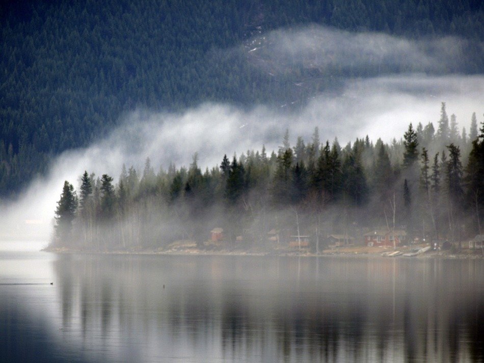 landscape of misty lake and canim lake coast