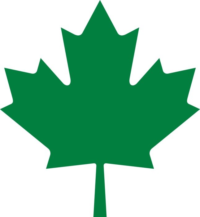 Picture of Green maple leaf