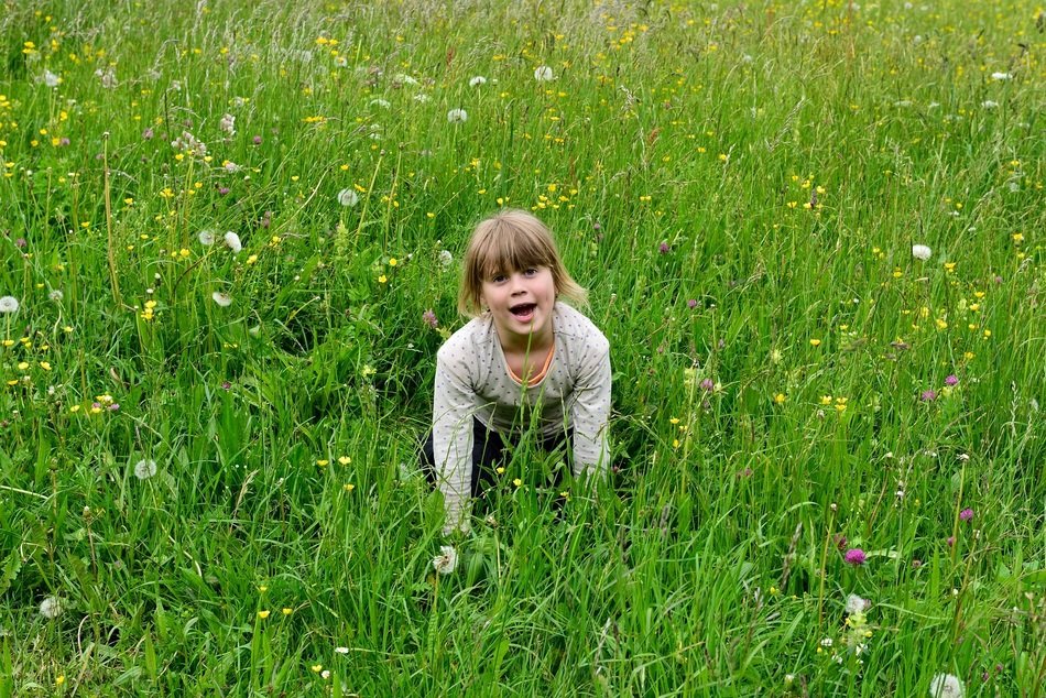 girl in the meadow