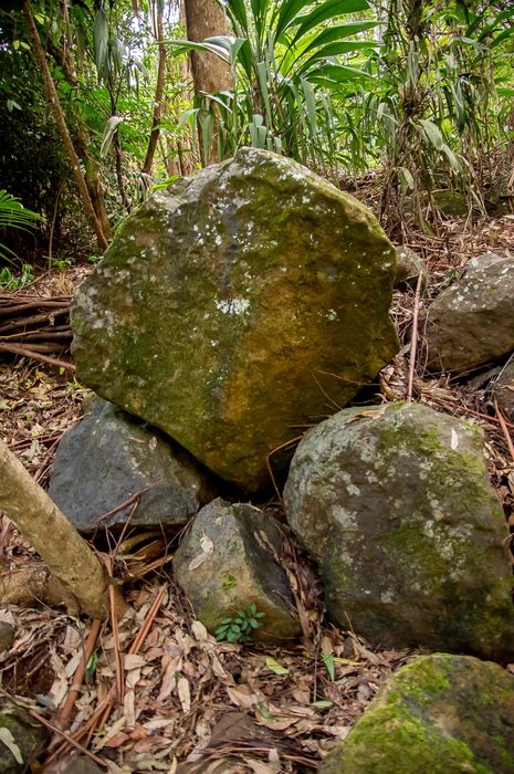 boulders in the woods in Australia